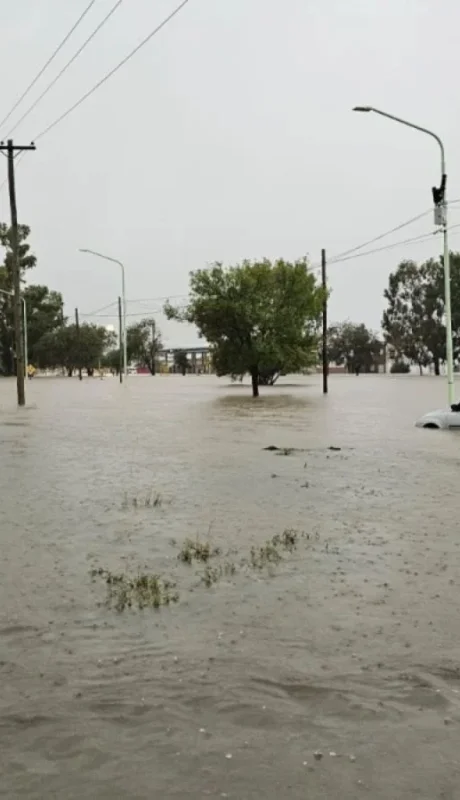 La tormenta hizo estragos en Bahía Blanca