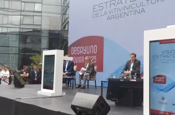 La vitivinicultura con algunos claroscuros