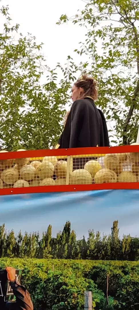 Carrusel 2025/ Fotos Matías Cervi