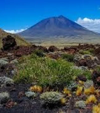 La Payunia es un tesoro natural a 570 kilómetros de la Ciudad de Mendoza.