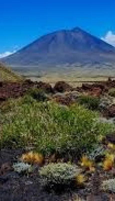 La Payunia es un tesoro natural a 570 kilómetros de la Ciudad de Mendoza.