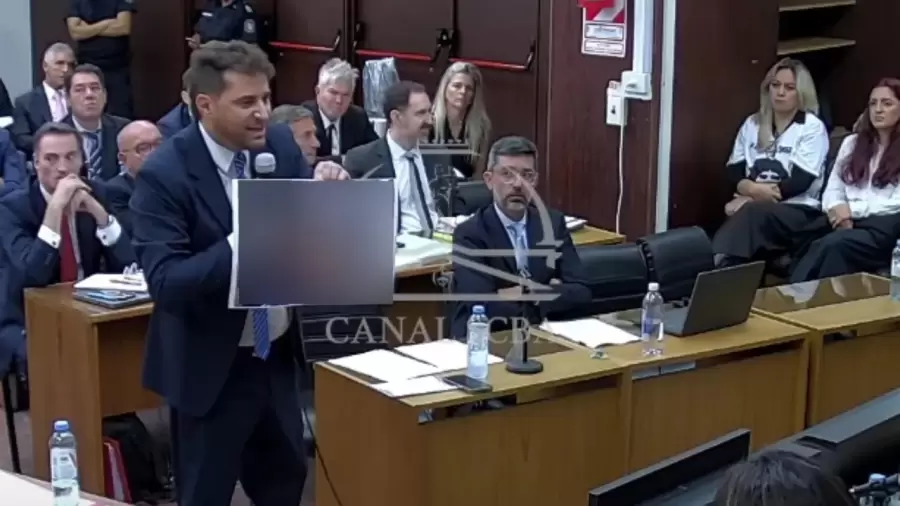 La conmovedora foto que mostró el fiscal de Diego Armando Maradona/