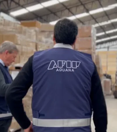 La Aduana está a cargo de Eduardo Mallea y depende de ARCA, dirigida por Juan Pazo.