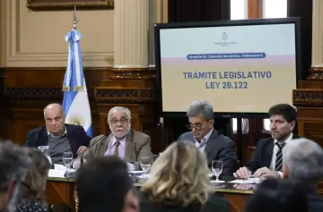 Francisco Monti: "El DNU del Ejecutivo autoriza a una operación de crédito que tiene dos patas"