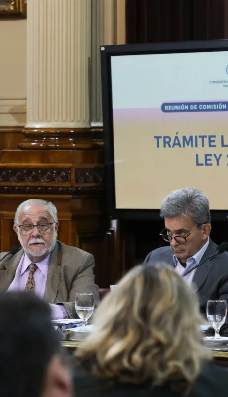 Comisión Bicaneral     /