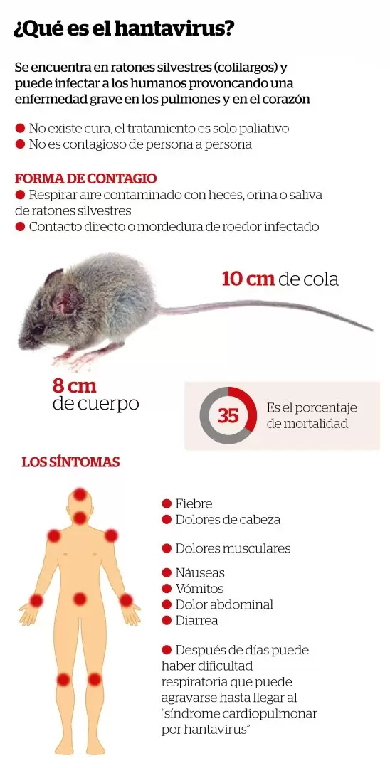 Hantavirus