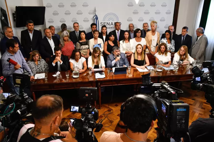 Bolque peronista del Senado