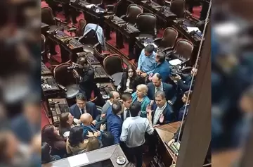 Papelón en Diputados: Zago y Almirón se fueron a las manos en plena sesión