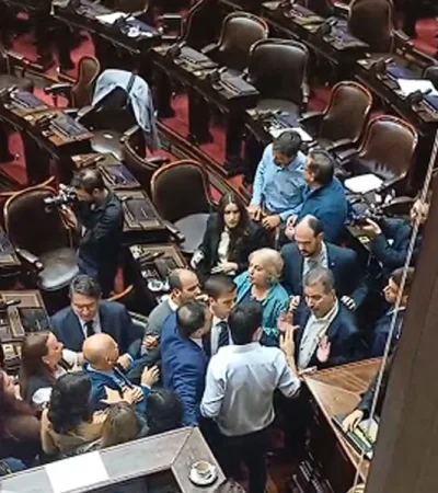 Papelón en Diputados: Zago y Almirón se fueron a las manos en plena sesión