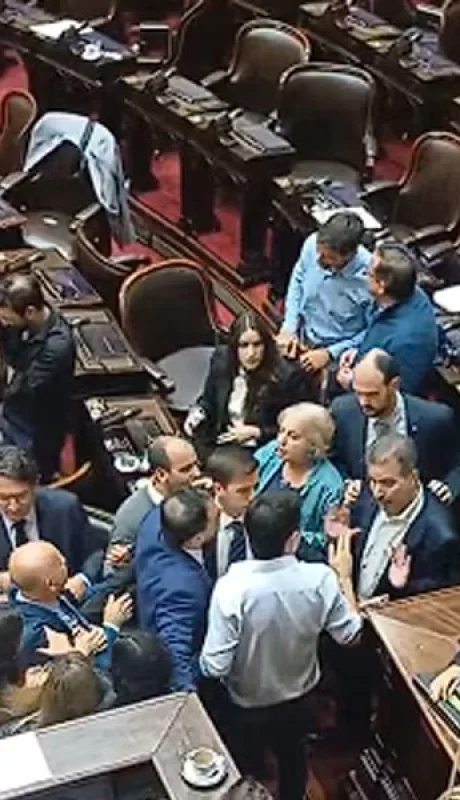 Papelón en Diputados: Zago y Almirón se fueron a las manos en plena sesión