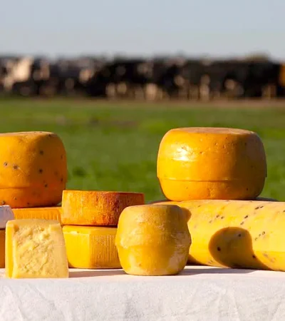 En Suipacha se pueden visitar establecimientos queseros y realizar degustaciones/