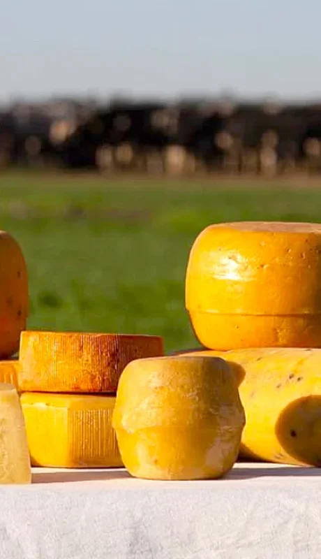 En Suipacha se pueden visitar establecimientos queseros y realizar degustaciones/