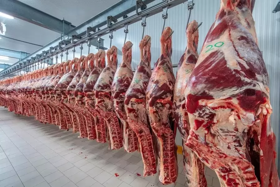"Estamos consumiendo el stock, y todo sería peor si aumentara el consumo de carne" (A. M. Antón)