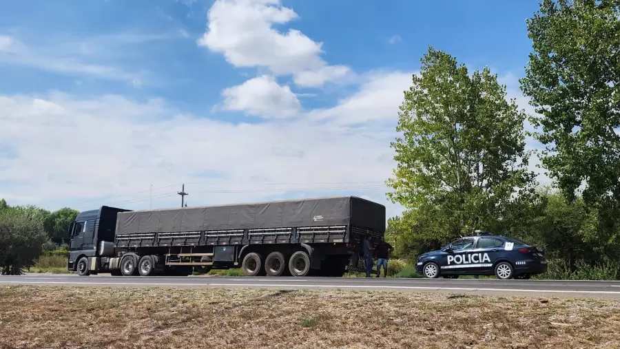 El camión que fue protagonista del incidente. (Foto: gentileza)