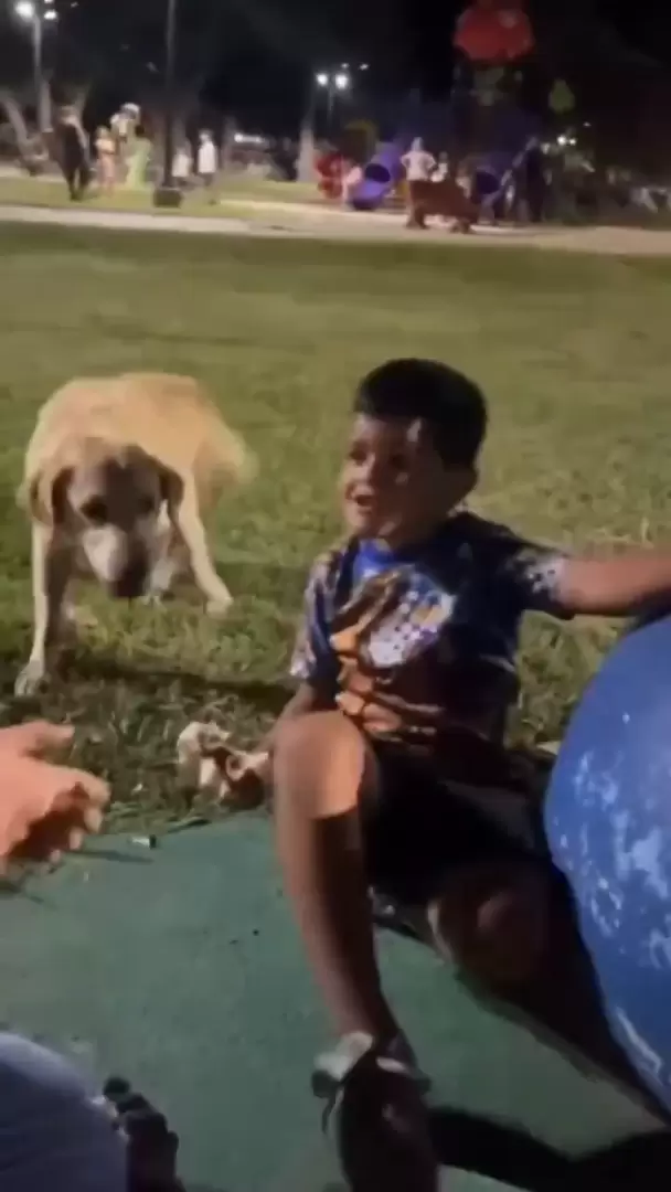 El momento del robo de sanguche.