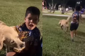 "¡Correlo, Ricardito!" Un perro ladrón de sanguches hizo transpirar a un nene