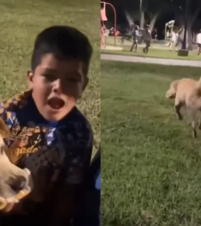 El sanguche que hizo a un niño correr.