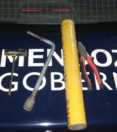 Fuente: Ministerio de Seguridad de Mendoza