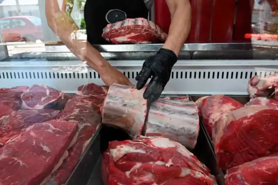 "Los precios estuvieron más altos que en enero, por el mismo precio de la carne" (F. Marengo)