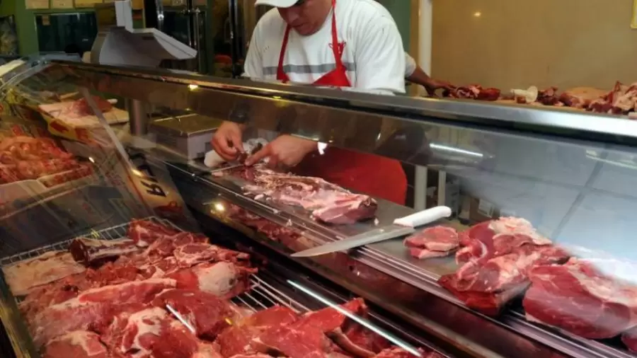 "La mayoría de los institutos de estadísticas no hacen esa corrección del ajuste a la baja" (F. Marengo)