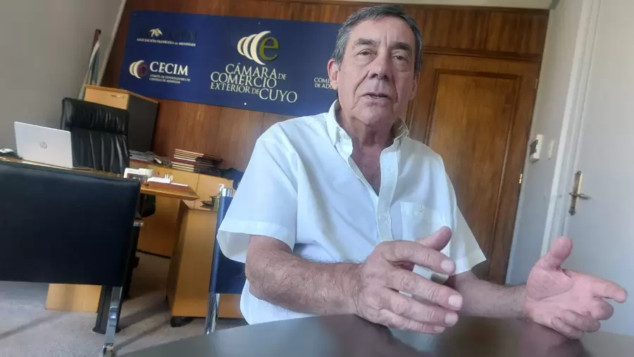 Mario Bustos Carra, gerente de la Cámara Exterior de Cuyo.