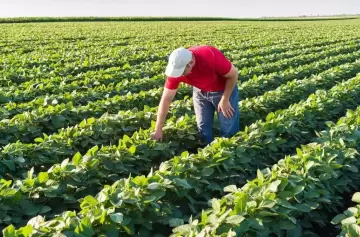 Desregulación de importaciones: ¿oportunidad o amenaza?