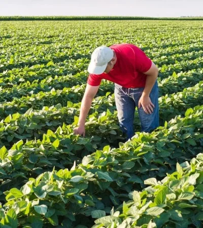 Desregulación de importaciones: ¿oportunidad o amenaza?