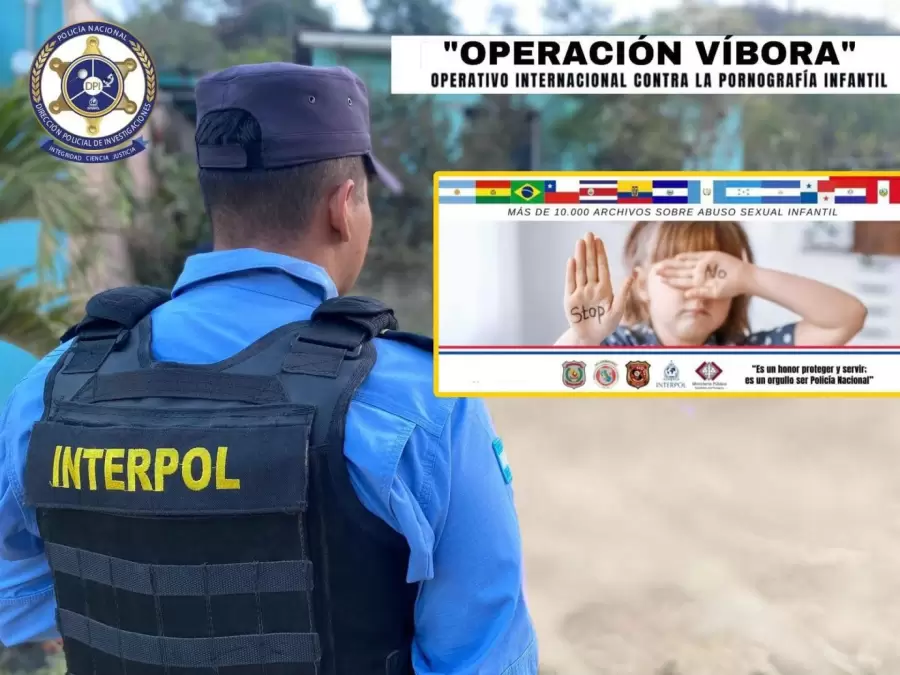 Operación Víbora