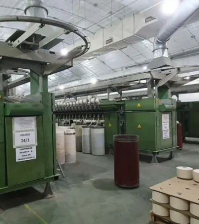 La producción local se siente amenazada por la postura de libre competencia de Milei.