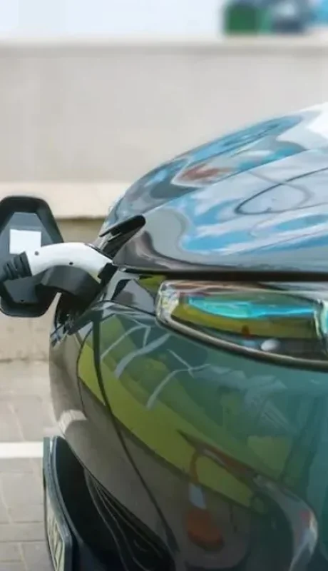 La medida permite el ingreso de hasta 50.000 unidades con una excención del 35% del arancel de importación.