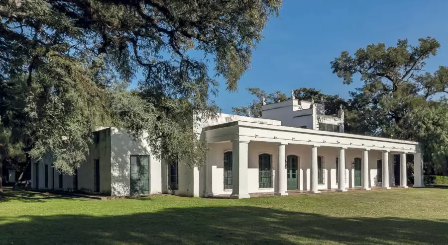 'Algarrobo de la Esperanza', en la quinta de Pueyrredón. (Foto: web)