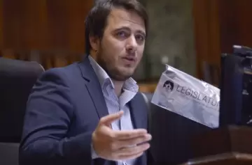 Hernán Reyes: "Apoyamos el DNU para evitar un colapso"