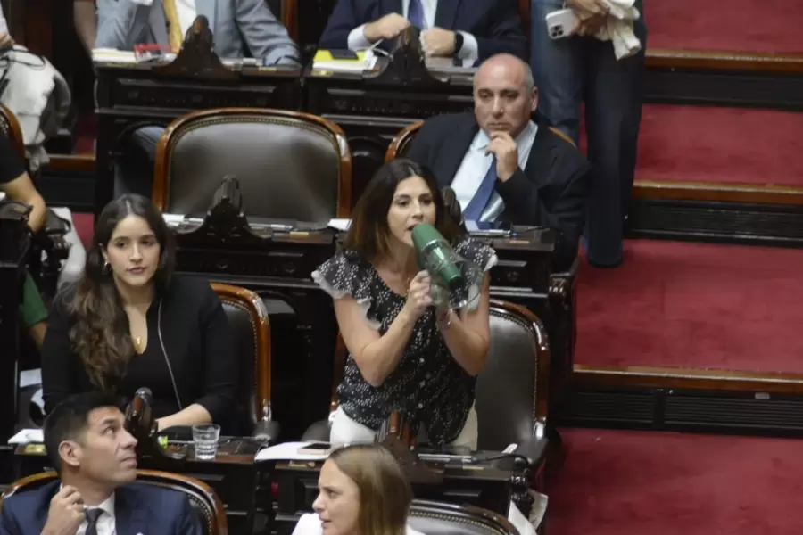 La diputada Marcela Pagano utiliza un megáfono para hacer oír su voz en medio de fuertes discusiones. (Foto: Noticias Argentinas)