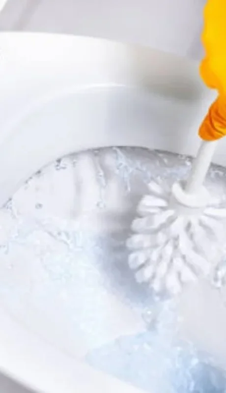 Mantener limpio el inodoro es clave