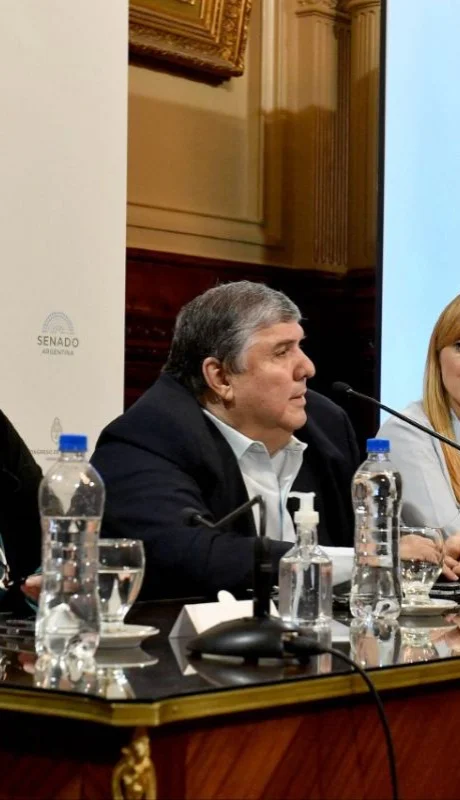 Di Tullio y Mayans en el Senado