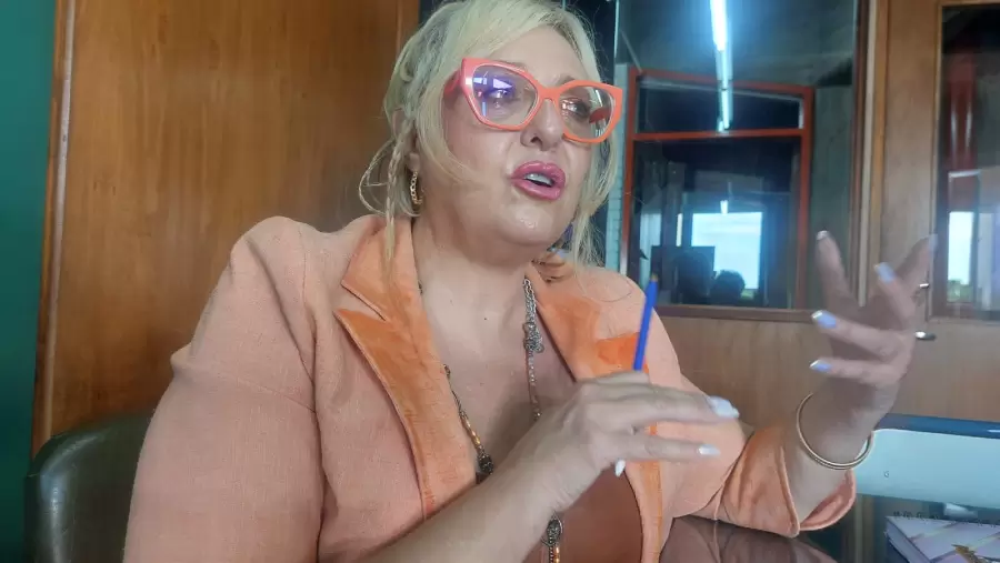 Senadora Flavia Manoni