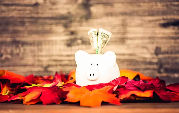 Así puedes atraer el dinero a tu vida.