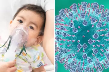Virus sincicial: Argentina avanza con un anticuerpo inyectable para bebés