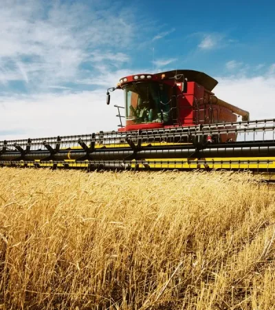 Imagen ilustrativa (web)