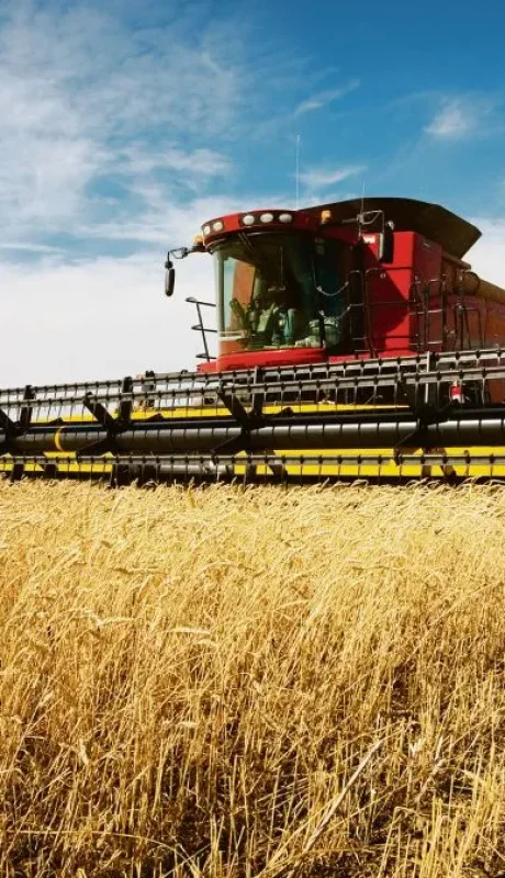 Imagen ilustrativa (web)