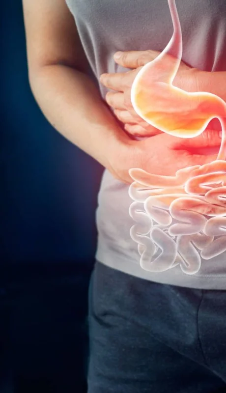 Protege al colon, pero esa es apenas una de sus múltiples funciones.