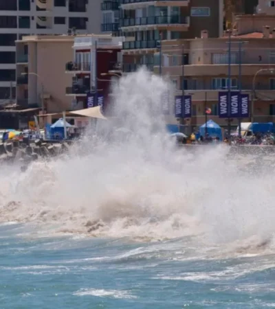 Advierten la necesidad de proteger los ecosistemas costeros.
