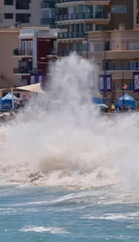 Advierten la necesidad de proteger los ecosistemas costeros.