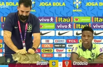 La "maldición del gato" que persigue a Brasil: ¿superstición o realidad futbolística?