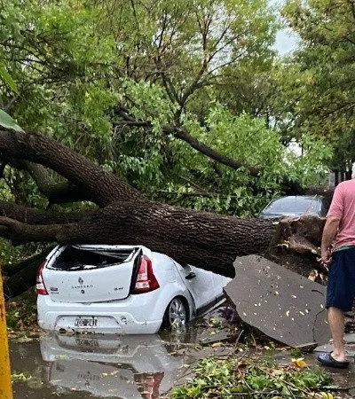 Fuerte tormenta de granizo en Rosario y alrededores.