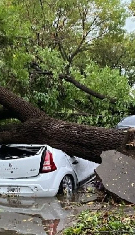 Fuerte tormenta de granizo en Rosario y alrededores.