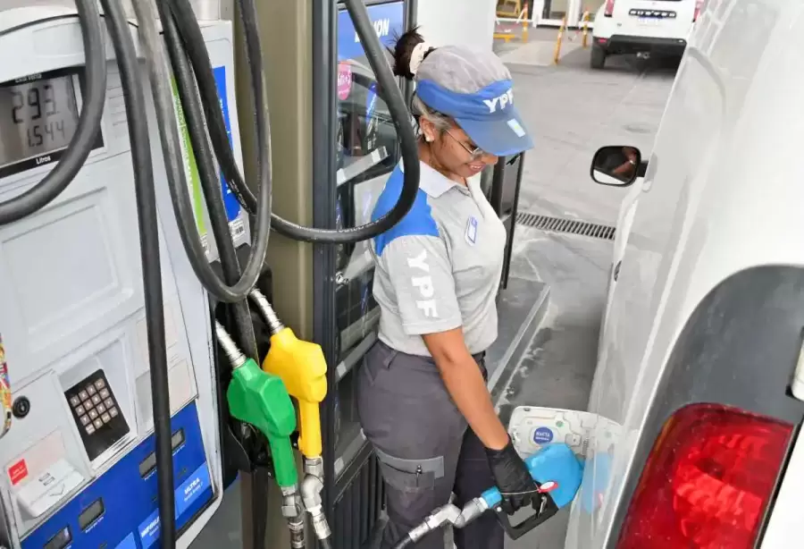 YPF, nafta, combustible