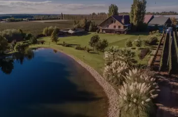 Los premios Michelin se entregarán en la bodega de una prestigiosa enóloga argentina