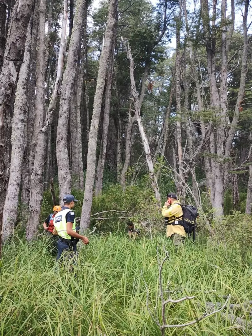 Se realizó un rastrillaje hasta la Cascada Inacayal por el sendero del sector Belvedere.