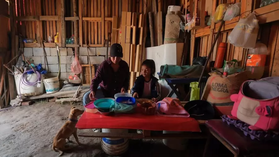 "Por más que la actividad económica fuera negativa durante todo el año, hay una caída durante los primeros trimestres" (N. Sago)